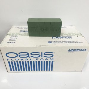 Oasis Box!
