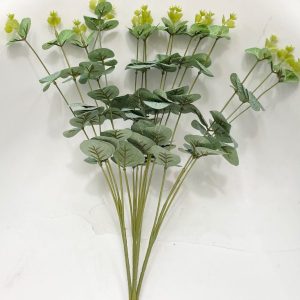 Green bunch