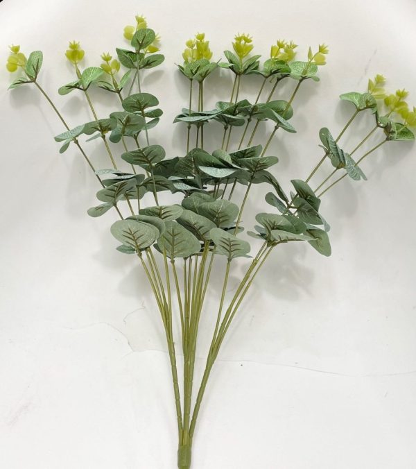 Green bunch