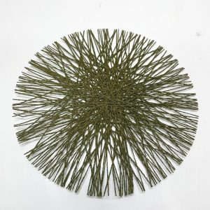 Underplate